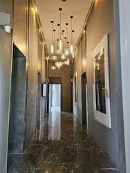 Skysuites@Anson (D2), Apartment #601527101